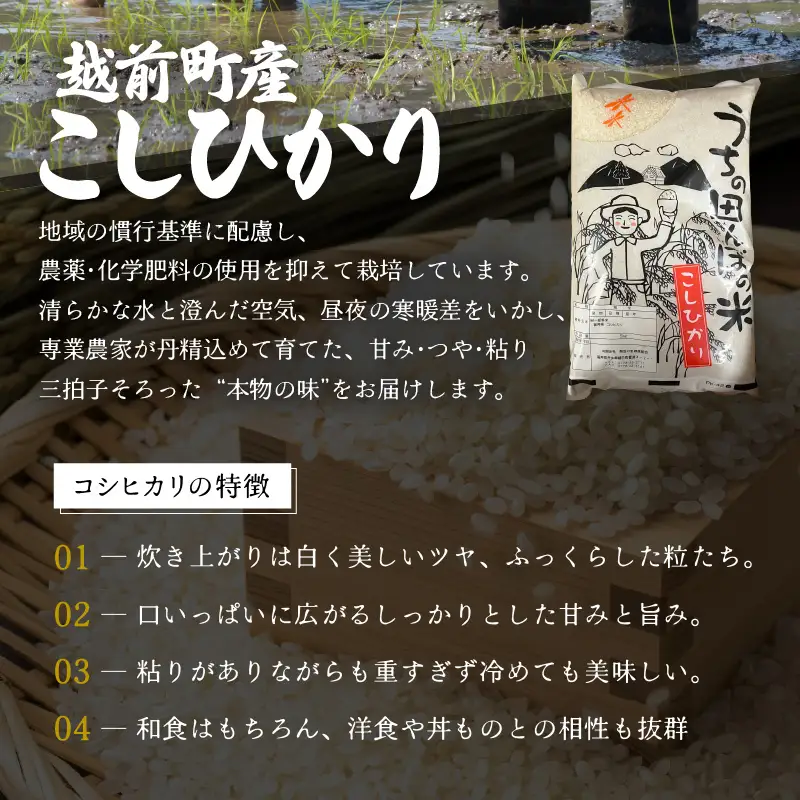 【先行予約】【令和8年産・新米】定期便 ≪3ヶ月連続お届け≫ こしひかり 5kg × 3回（計15kg）【玄米】【2026年10月中旬以降順次発送】 [e26-d002_02]