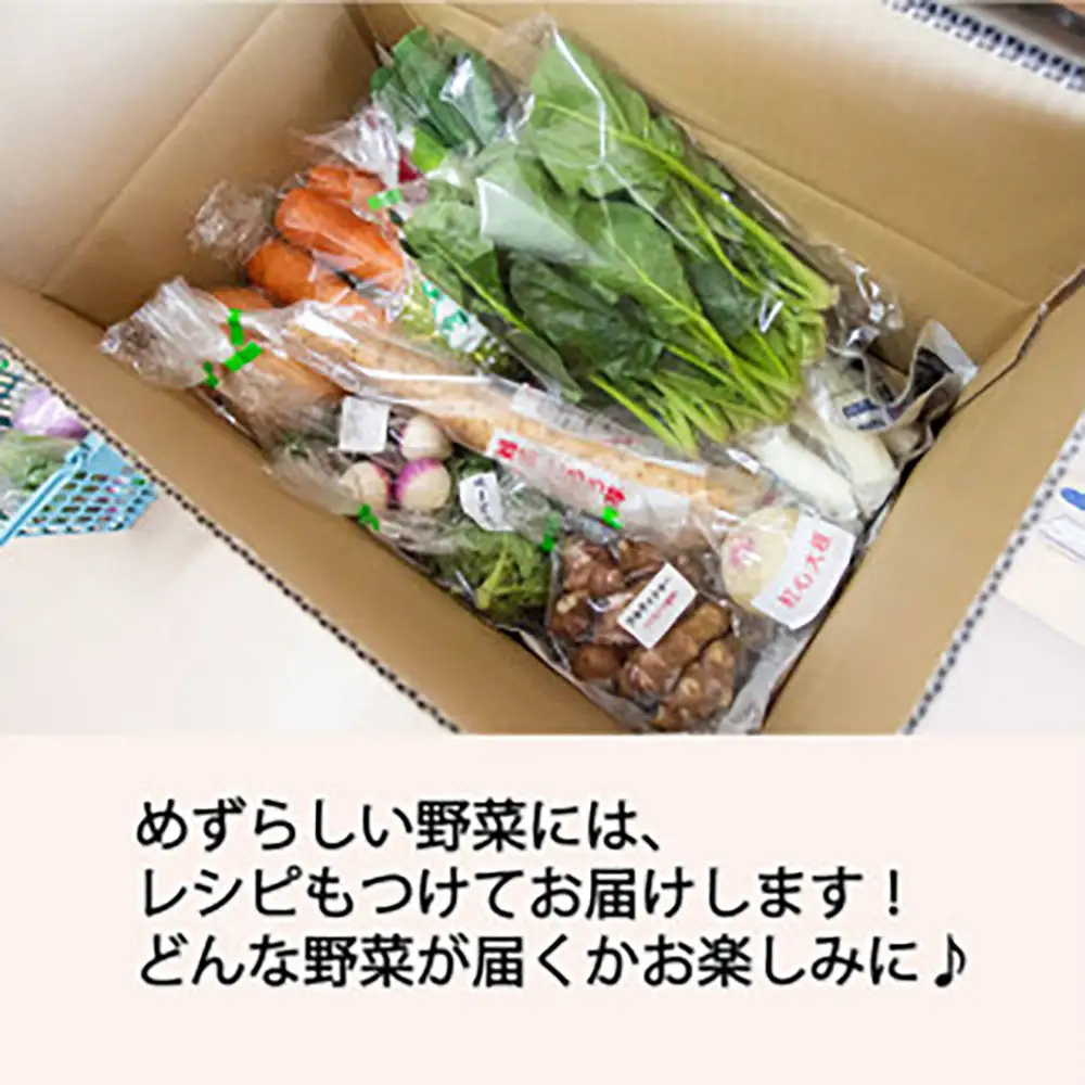 季節のおすすめ野菜おまかせ詰め合わせBOX 8種～12種類 通常サイズ【16101】