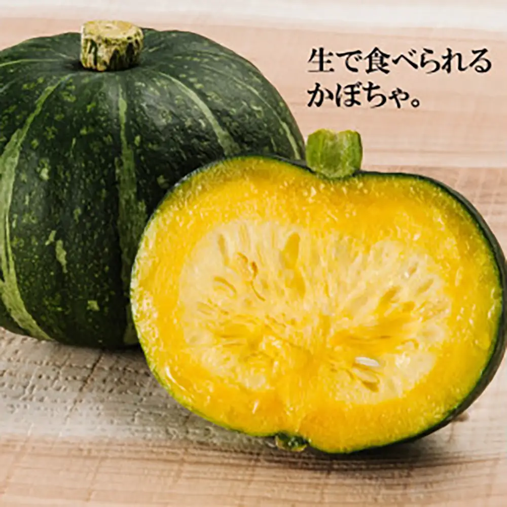 季節のおすすめ野菜おまかせ詰め合わせBOX 8種～12種類 大容量サイズ【16102】