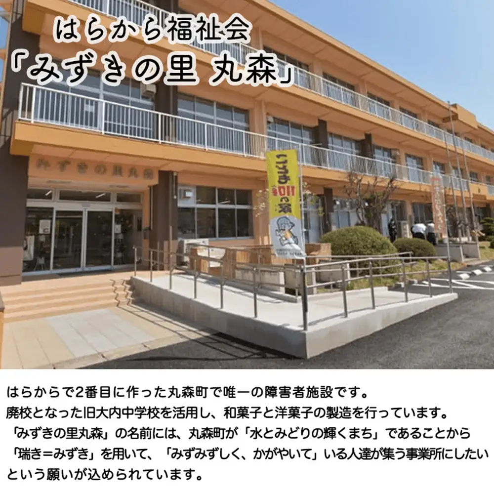 ハイクリアー プロテインバー mini BAR チョコ味 1箱（2本入り×12袋）×6か月【18108】