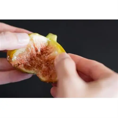THE FIG ～皮ごと食べれるいちじく～　300g×4パックセット【配送不可地域：離島】【1644926】