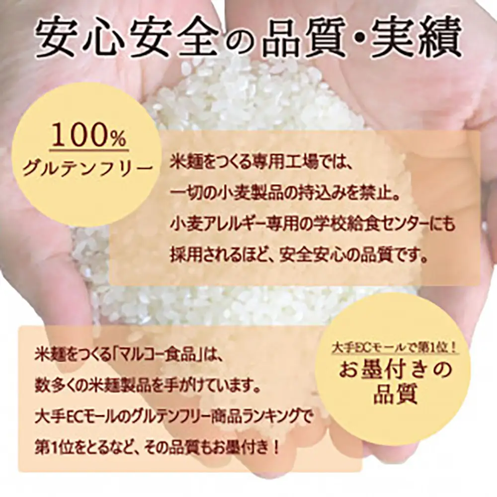 つるもち食感！グルテンフリー米麺 詰め合わせ20食（精米・玄米 各10食ずつ）【25101】