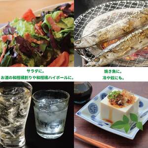 内谷農園 低温貯蔵すだち 家庭用 2kg