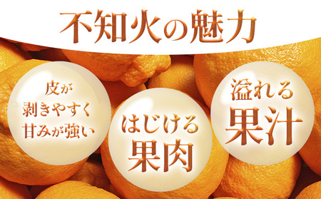 不知火 デコポン 同品種 約3kg 日本フルーツ株式会社 熊本県 荒尾市 《2月上旬-4月上旬頃出荷》 デコポン 果物 秀品 フルーツ スイーツ デザート ギフト ご贈答