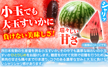 紀州和歌山産 小玉スイカ 「ひとりじめ」 2玉 