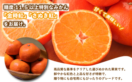 先行予約 みかん 蜜柑 約2kg 小原紅早生 小原紅早生みかん さぬき紅 金時紅 柑橘 オレンジ 11月下旬～12月下旬 配送 香川県 丸亀市