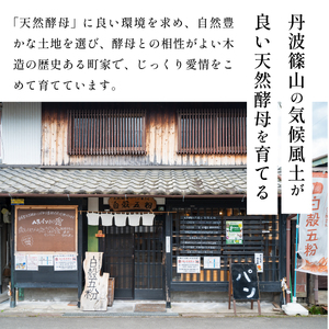 【お試し】天然酵母パン 5種入り 天然酵母パン CT02-25