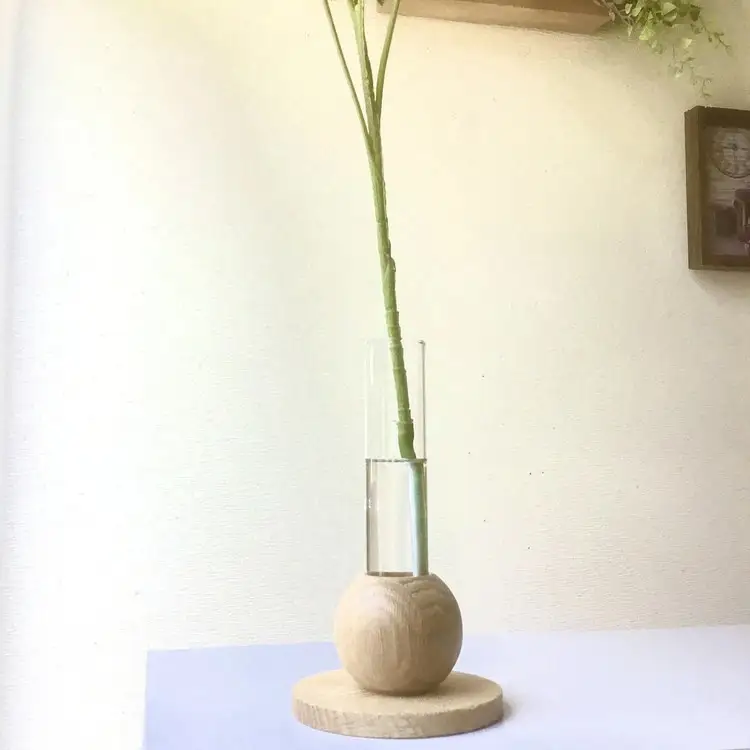 倒してもこぼれないお水 癒しのグリーン「シェフレラ1輪挿し」光触媒｜観葉アレンジシュフレラ