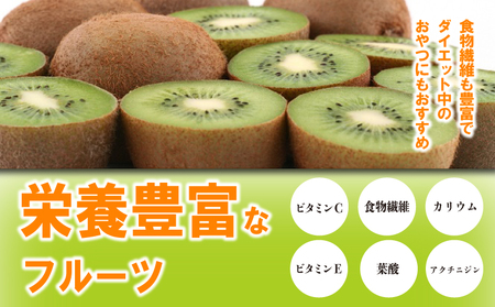 先行予約 キウイ 香緑 約3.3kg キウイ 配送：11月下旬～1月中旬