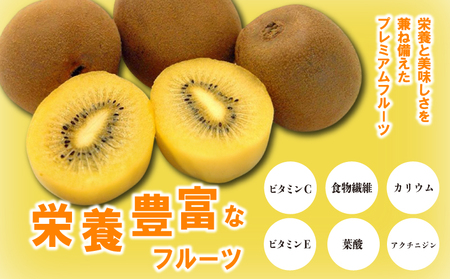 先行予約 さぬきゴールドキウイ 約1kg キウイ 配送：10月下旬～12月中旬