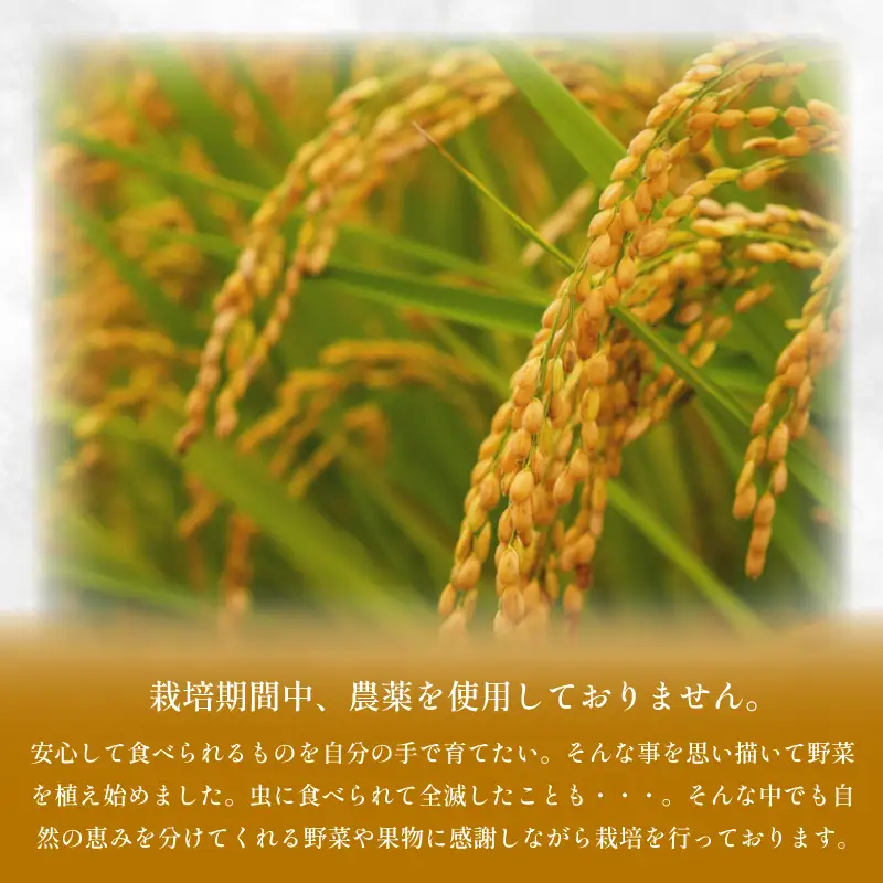 令和8年産 米 玄米 10kg アキサカリ