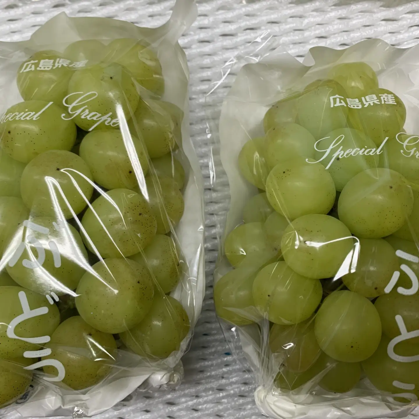 【2026年先行予約】シャインマスカット 約2kg 訳あり 家庭用 大粒 高糖度 種なし ぶどう 葡萄 広島県 神石高原町産