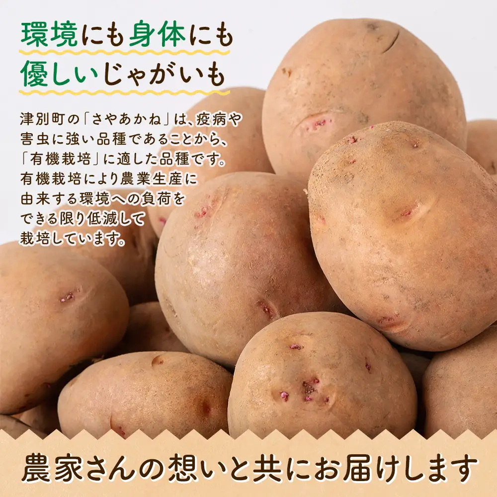 【数量限定】R8年産先行受付 じゃがいも（さやあかね） 有機栽培  10kg | ジャガイモ 芋 さやあかね 馬鈴薯 大容量 新鮮 野菜 煮物 コロッケ ポテトサラダ ポテト 保存 特産 産地直送 北海道 津別町 送料無料