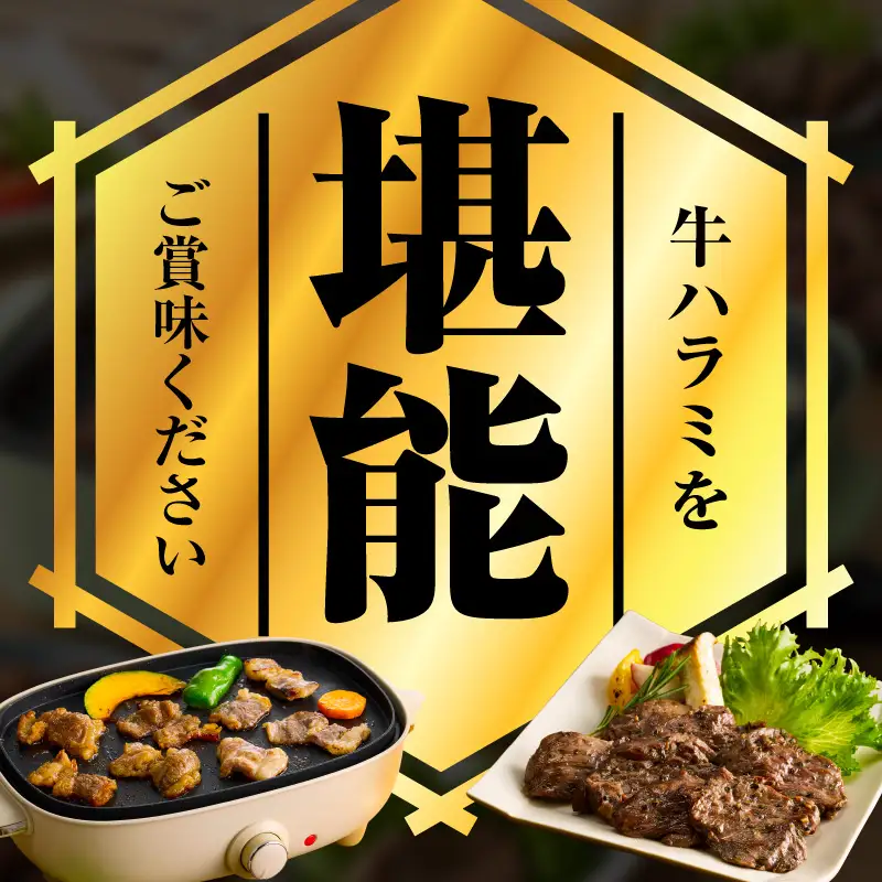 【満足牛ハラミ】オリジナルスパイス仕込み 合計3kg 
