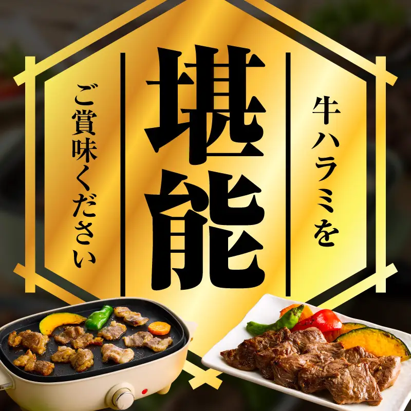【満足牛ハラミ】中辛タレ漬け 合計3kg 