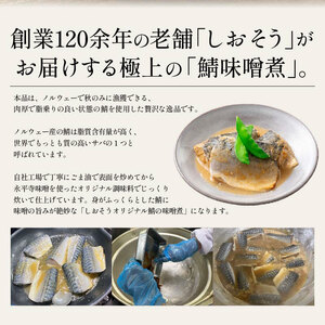さば 味噌煮 10枚入り