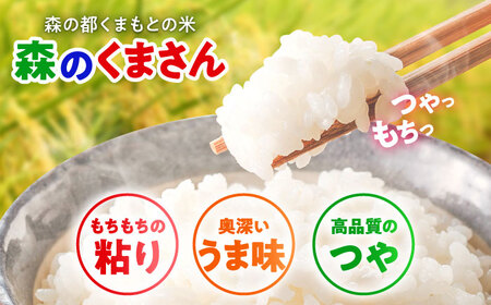 【令和7年産】 森のくまさん 5kg 白米 5キロ[BHBP003]