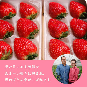 【定期便全3回】（2月・3月・4月）イチゴ 奈良県産高級ブランド品種「古都華」デラックス（280g×2パック） ことか 上田農園 苺 いちご 果物 フルーツ 甘い 奈良県 【tm-AS002-B】【上田農園】