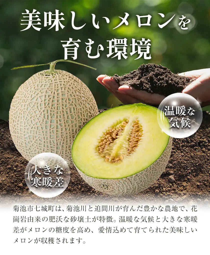アールスメロン 2玉 2L～3Lサイズ メロン《9月上旬-12月上旬頃出荷》熊本県 菊池市 果物 フルーツ 青果物 菊池市産 熊本県産 九州産 国産 送料無料
