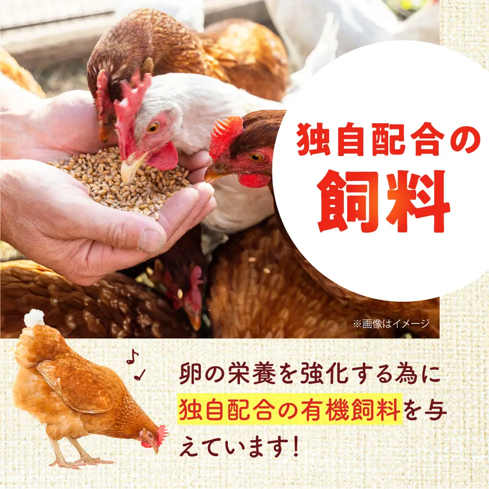 安田養鶏場の卵 しおさい 30個入り[AKHN001]卵