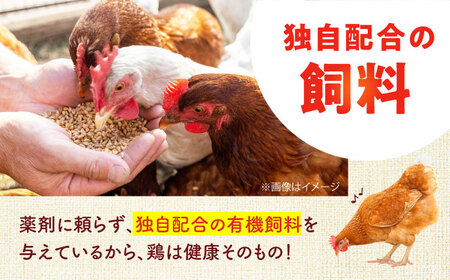 【全3回定期便】安田養鶏場の卵 アトムくん 30個入り 横須賀市 産地直送 割れ保証付き たまご 黄身 濃厚 卵 玉子 タマゴ 鶏卵 【安田養鶏場】[AKHN009]