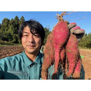 旬まるかじり!石川県産さつまいもスティック　200ｇ x 6袋