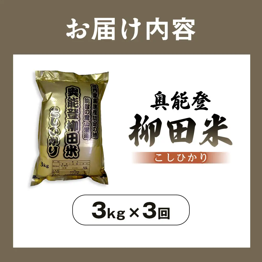 【復興支援】【定期便】【令和7年度産】奥能登柳田米B4こしひかり3kg×3回 計9kg