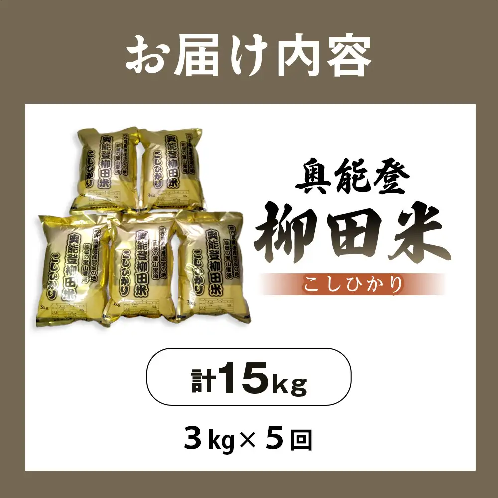 【復興支援】【定期便】【令和7年産】奥能登柳田米 B5こしひかり 3kg×5回（計15kg）