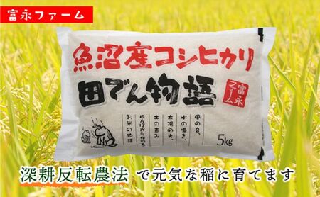 【令和8年産　新米先行受付】冨永ファーム「田でん物語」魚沼産コシヒカリ(精米)10kg(5kg×2) 米 こしひかり お米 魚沼産コシヒカリ こめ コメ 新潟 魚沼 魚沼産こしひかり 白米