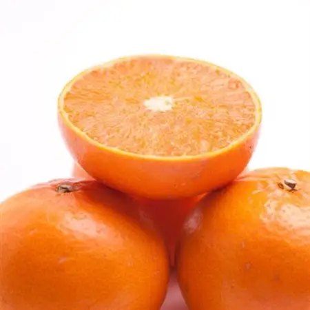 厳選 せとか5kg+250g(傷み補償分)【柑橘・春みかんの王様】【光センサー選果・食べ頃出荷】【配送不可地域：離島・北海道・沖縄県】【1649455】