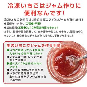 冷凍いちご 福島県オリジナル品種「ふくはる香」3kg（250g×12） いちご イチゴ 苺 福島県 鏡石町 鏡石農遊園 F6Q-346