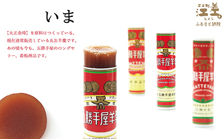 【数量限定】五勝手屋本舗『丸缶羊羹　過去・現在・未来』7本セット　五勝手屋羊羹の「かつて・いま・これから」　金時豆　大正金時　紅金時　秋晴れ　ようかん　復刻　保存料不使用　老舗　和菓子　銘菓　ギフト　贈答