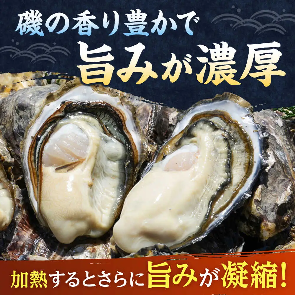 若狭うらら牡蠣 ハーフシェル 8個 生食可 / かき カキ 海鮮 小浜市 / 小浜海産物 【配送不可地域：北海道・沖縄・離島】[BFAA099]