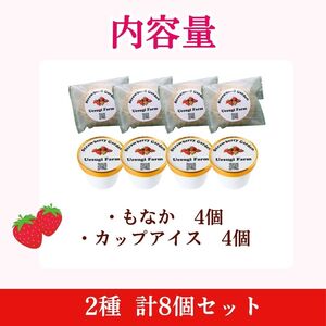 いちごのアイスセット 2種 計8個 いちご もなか アイス
