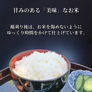 令和8年産 新米 きぬむすめ 6kg(約300g×4袋×5セット) ギフト 《2026年11月以降発送》