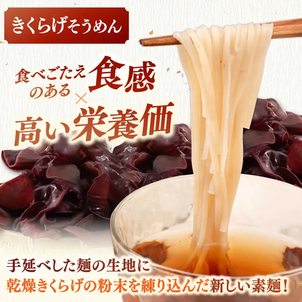 しいたけ素麺ときくらげ麺のセット（各2食分） ADBA017 素麺 そうめん 人気