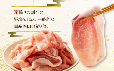 国産豚肉 瑞浪ボーノポーク ロース スライス 1.2kg (300g×4P)  [AZCW031] 豚肉