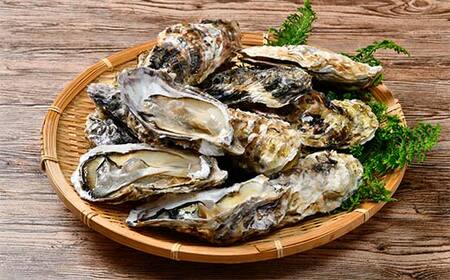 冷凍牡蠣のガンガン焼き 1.5kg 北海道噴火湾産 海産物 加工品 ほたて 帆立 ホタテ 魚介類 海鮮 森町 ふるさと納税 mr1-0982