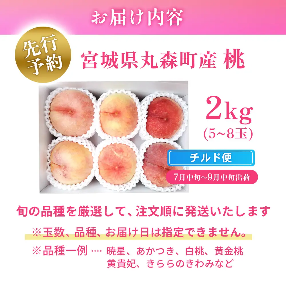 【先行予約】《7月中旬～9月中旬出荷》 宮城県丸森町産 桃 5～8玉（約2kg）【4800401】