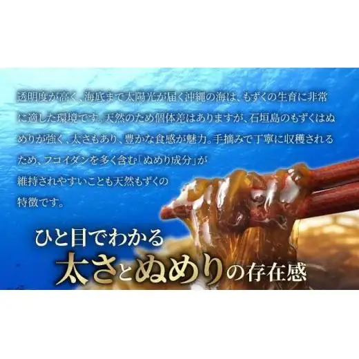 沖縄県産　天然太もずく　500g×10袋
