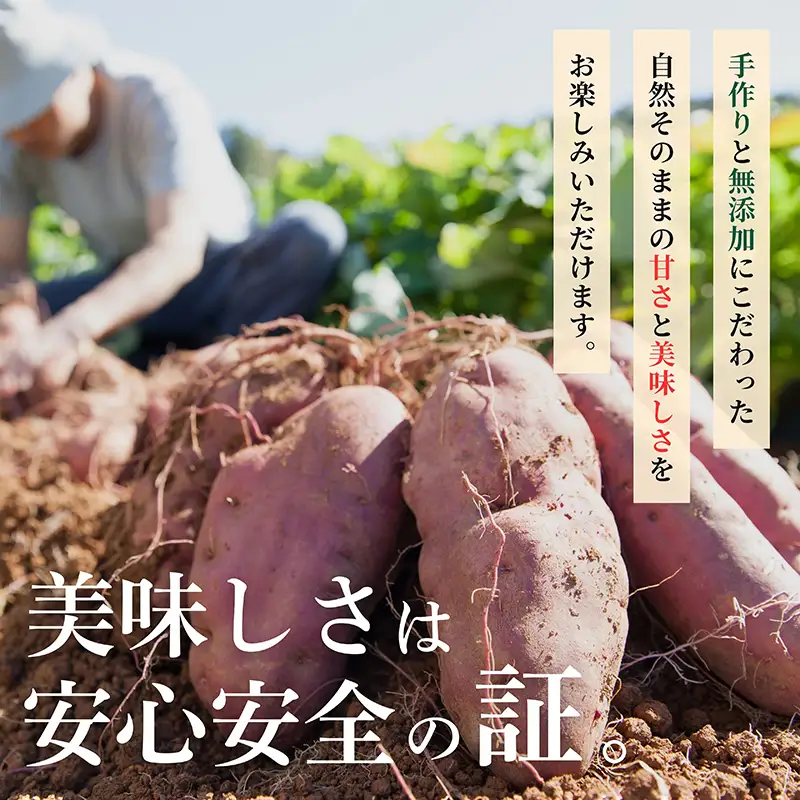 2679 濃密 鹿児島県産 熟成 安納芋 冷凍 焼き芋 2kg（ 500g × 4袋 ）さつまいも KN097-002-03 野菜 菓子