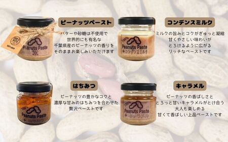 ピーナッツペースト  5個セット ミニフレーバー 【 落花生 】 CHO-C NUTS