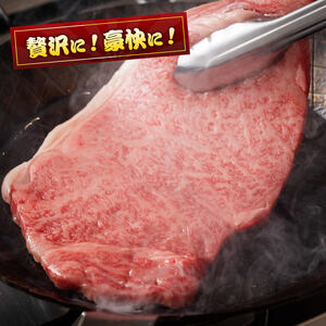 【令和8年10月発送分】宮崎牛ロースステーキ2枚500g 粗挽きウインナー