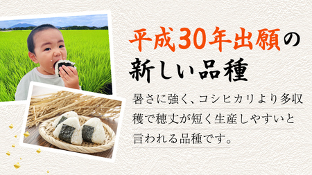 ＜ 新米 ＞ 令和7年産 茨城県産 白米 にじのきらめき 10kg 【2025年9月下旬より発送開始】 お米 ごはん 家庭用