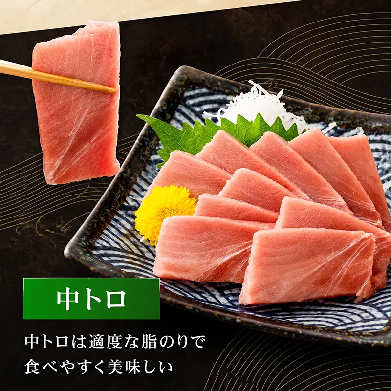 本まぐろ 食べ比べ セット 540g以上 まぐろ