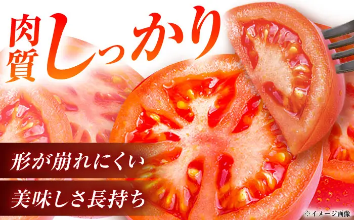 王様トマト 約4kg  [AUDS002]トマト