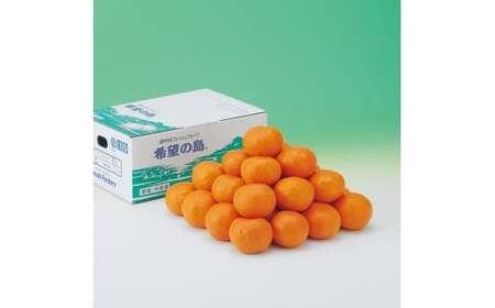 【2027年5月上旬頃から順次発送】完熟春みかん カラマンダリン 2kg M~2Lサイズ【FT035】