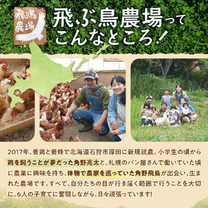 飛ぶ鳥農場 海の街たまごを使用したシフォンケーキ 1箱（8カット）