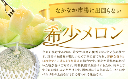 【2027年先行予約】メロン 優香メロン 約2kg × 2玉 贈答用 専用箱 ギフト フルーツ 《2027年4月中旬-4月下旬頃出荷》西川農園 熊本県 荒尾市 希少メロン 果物 熊本県産