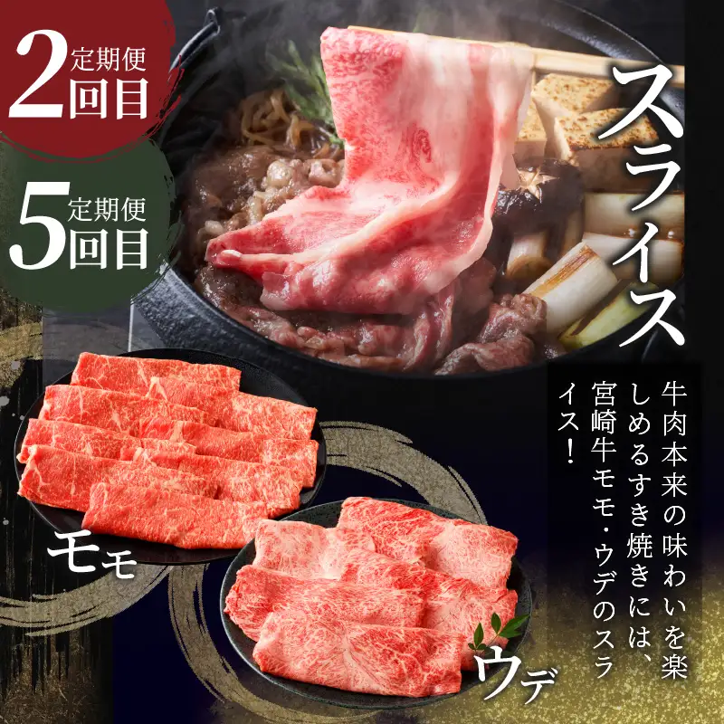 6か月お楽しみ定期便『宮崎牛よくばりセット』総重量4.8kg 肉 牛 牛肉 おかず 国産_T030-1846